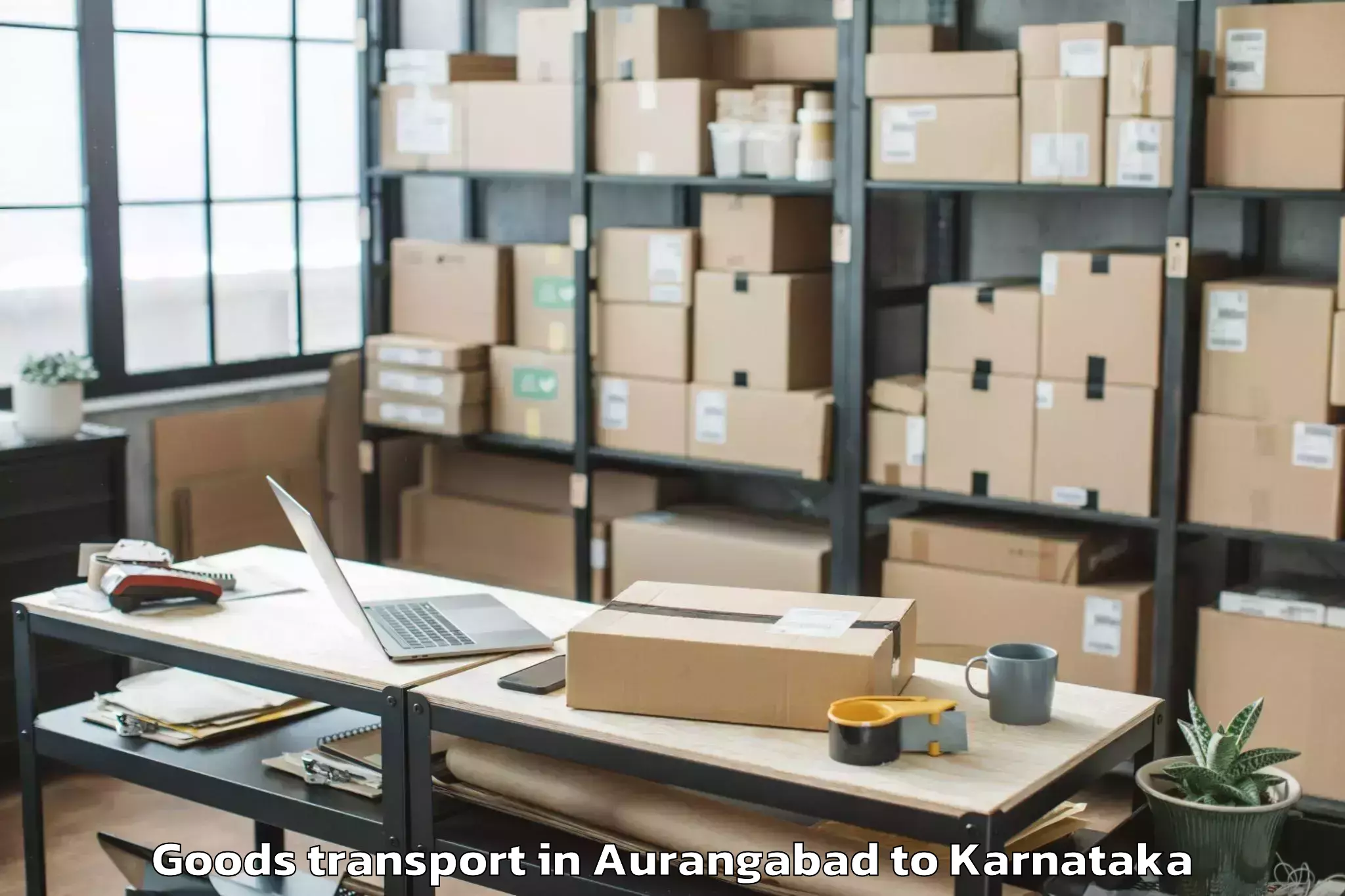 Professional Aurangabad to Kunigal Goods Transport